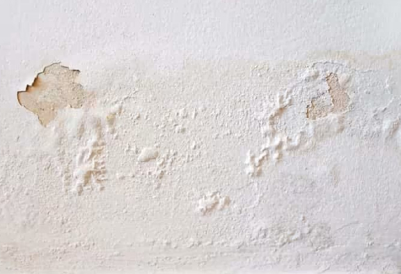 Wall Seepage